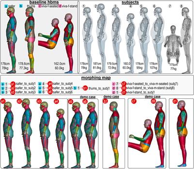 Personalization of human body models and beyond via image registration